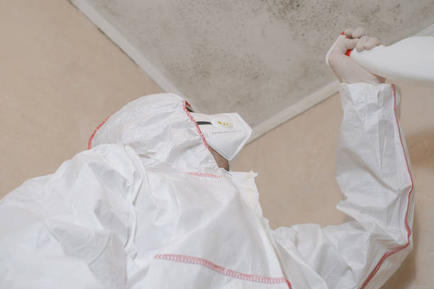 Best Crawl Space Mold Removal  in Rossmoor, CA